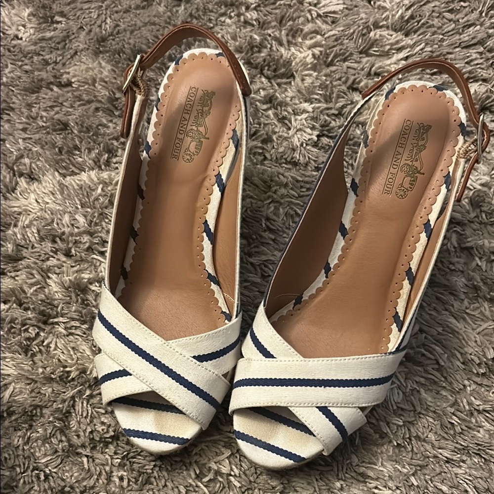 Blue and White Espadrilles